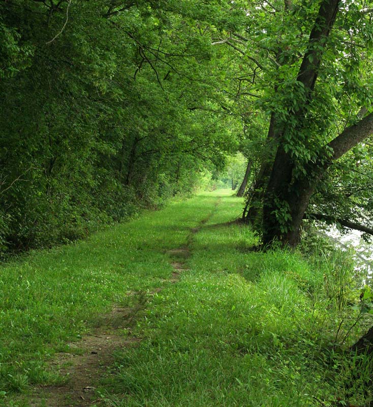 The Path