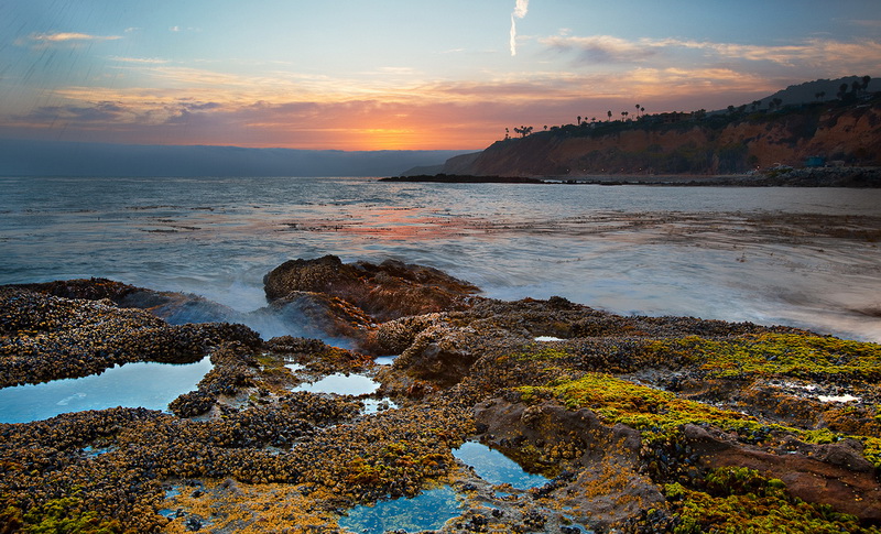 Low Tide 3