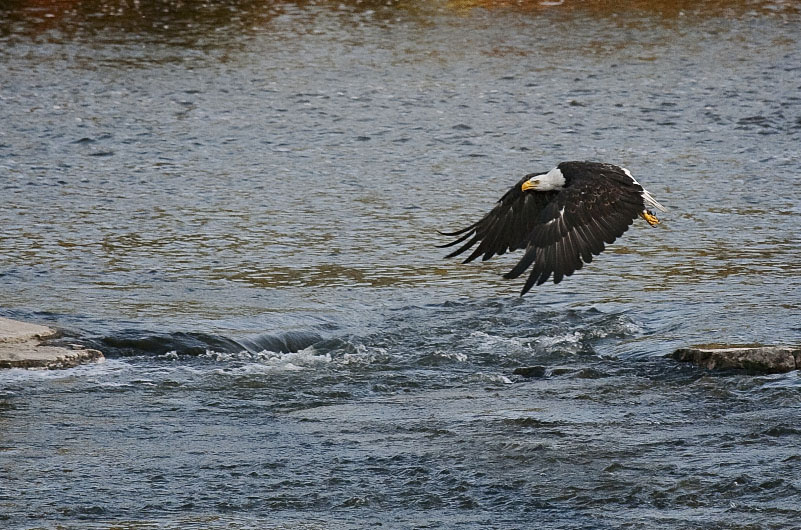 Taking Off