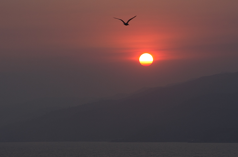 5th Place  Palisades Sunset by Paul Sumi
