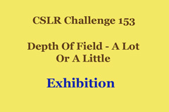 o6/36/275736/1/116325837.u7x3Maop.Exhibition.jpg