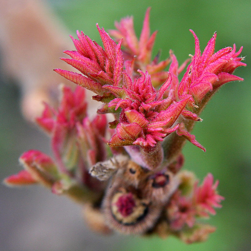 Early Signs of Spring