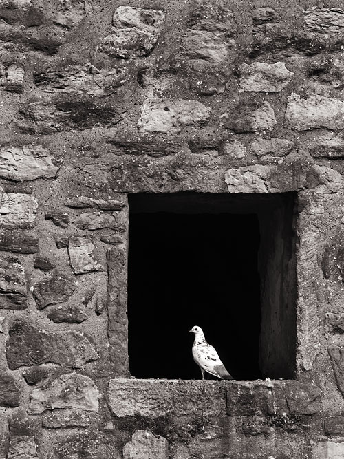 Pigeonhole