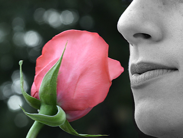 A Wonderful Scent