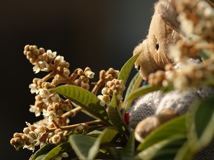 Smells Like Honey