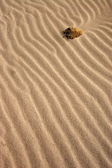 <b>8th Place</b><br>Beach<br>by Gayle Knowles