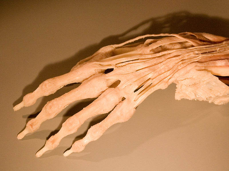 Need a hand? *
