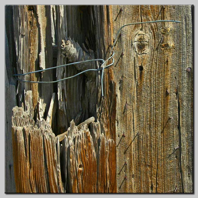 Old Wire n Wood