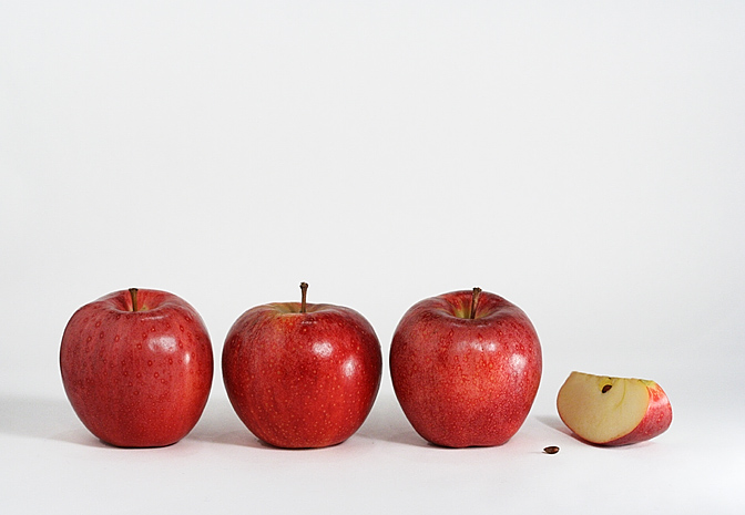 <b>3rd Place</b><br>Apple Pi<br>by elips