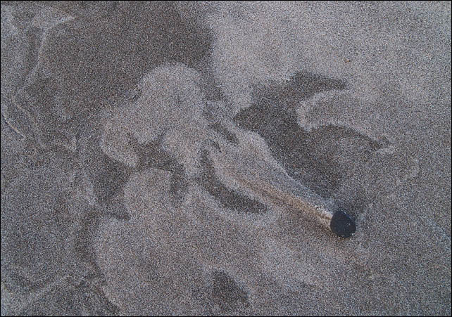 Of Comets & Horses