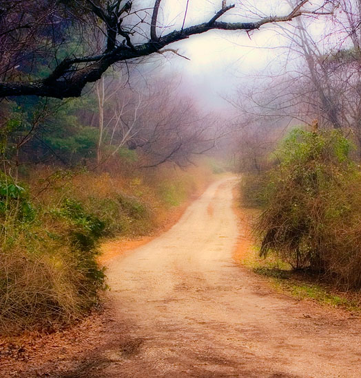 <b>11th Place (tie)</b><br>The Long and Winding Road<br>by Lonnit Rysher