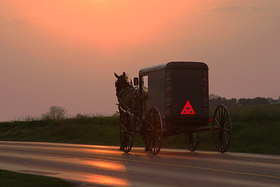 Into The Sunset  *