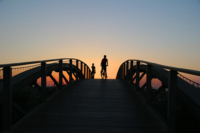 <b>7th Place</b><br>Off into the Sunset<br>by JudiB