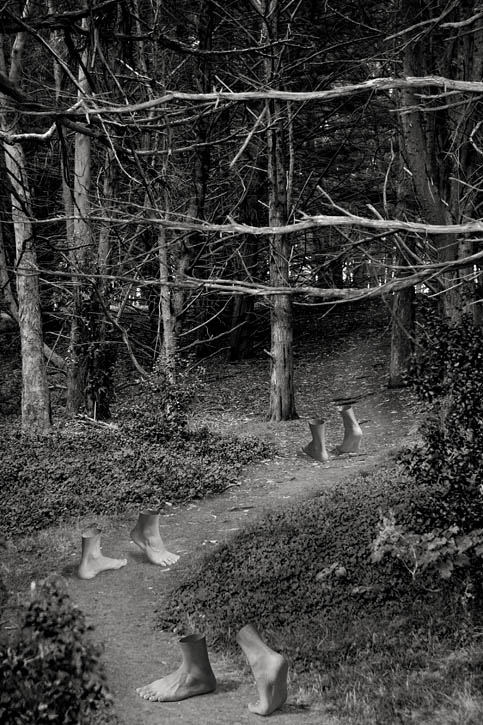 <b>4th Place</b><br>the footpath<br>by Michael Puff