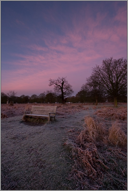 The Path By The Bench