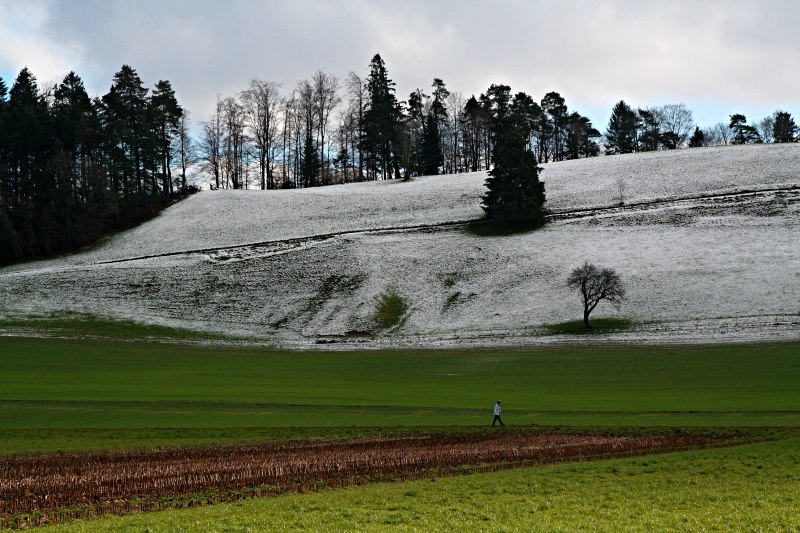 way between green and white *