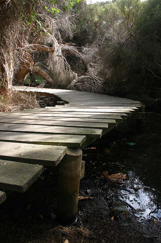<b>7th Place</b><br>Boardwalk<br>by Neil Lawson