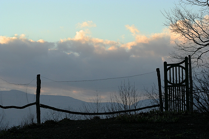 Garden Gate