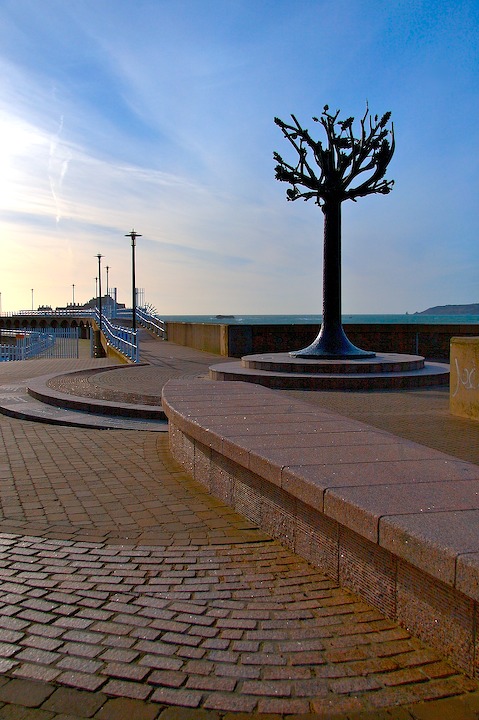 Freedom Tree
