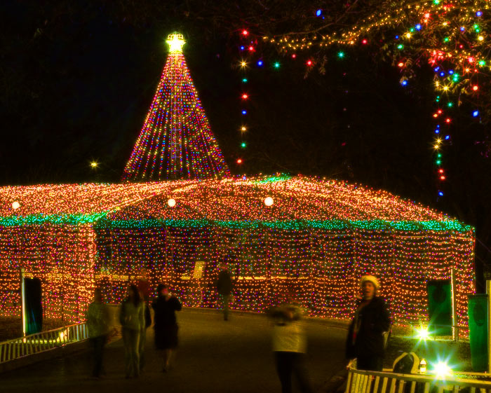 Trail of Lights Entrance