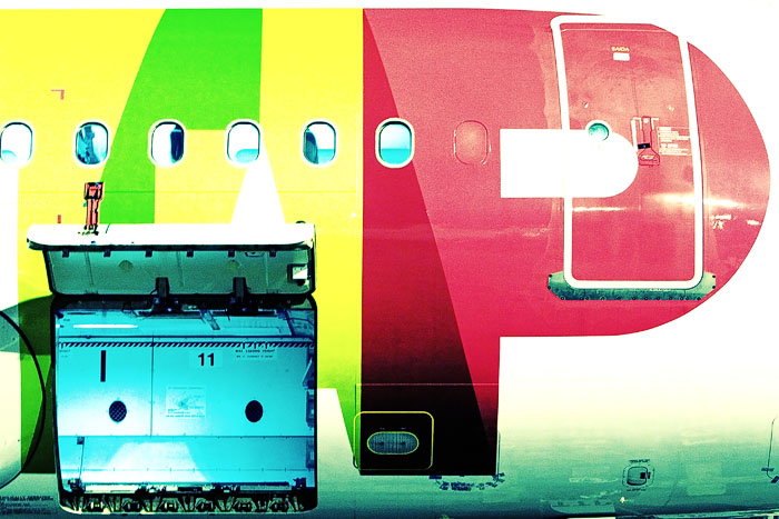 How Dogs See Air Travel