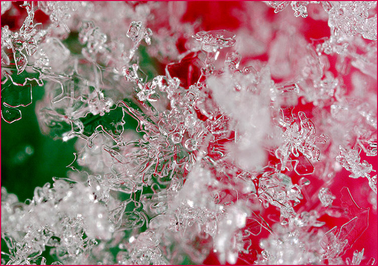 Seasons Snow