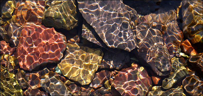 Liquid & Light