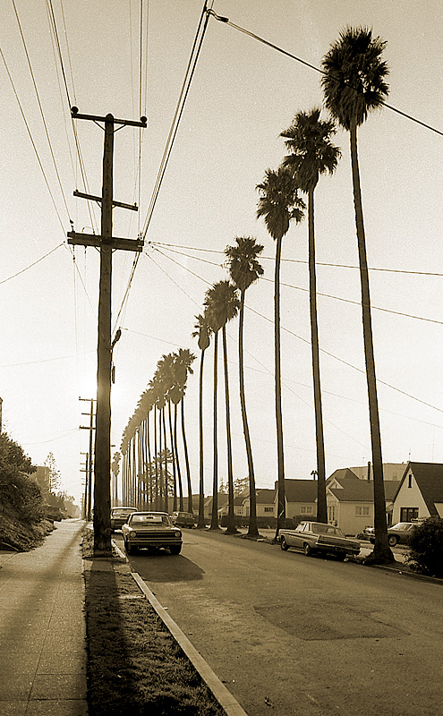 29 Palms