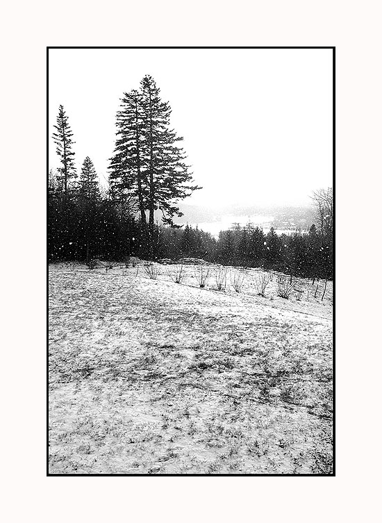 Winter brings an Empty Garden*