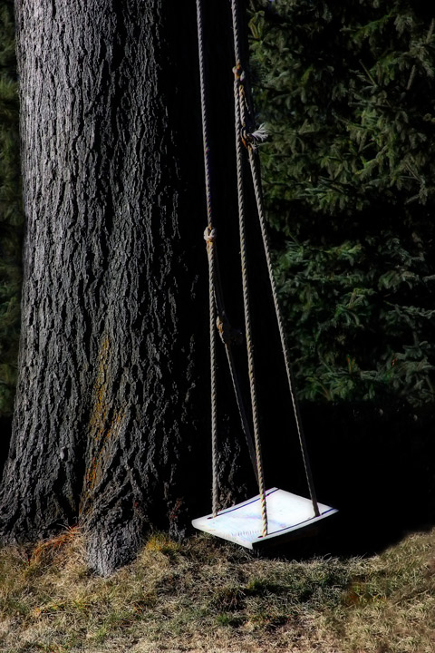 Empty Swing