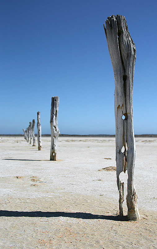 3d Place Once was a fence *