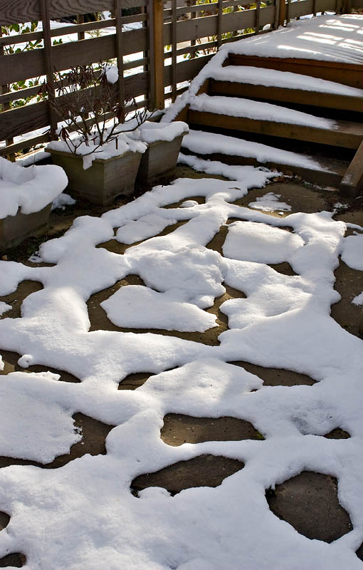 Snow Patterns *