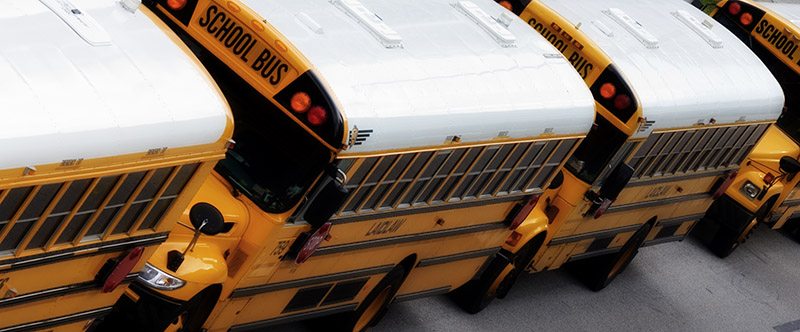 School Buses