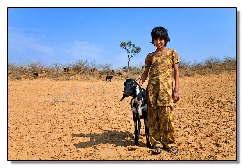 <b>Young Shepherdess</b>
