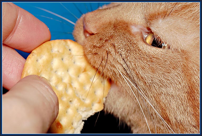 Lucy Loves Crackers