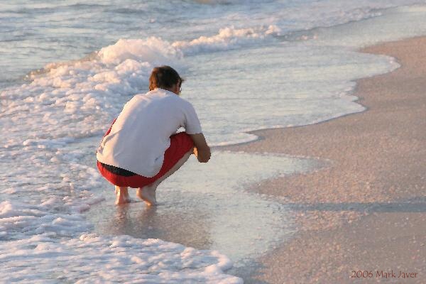 Shell Hunt