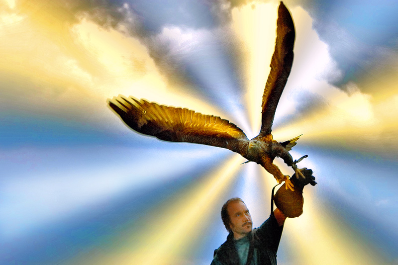 The Secret Of The Golden Eagle