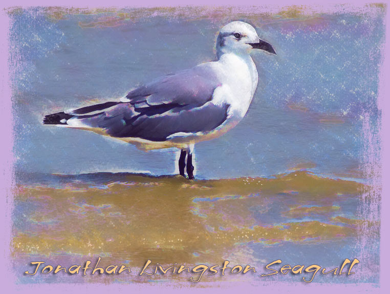 Jonathan LIvingston Seagull