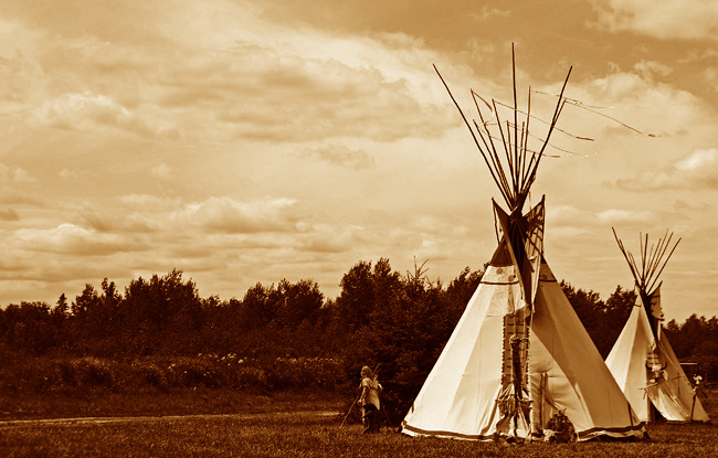 7th Place <b>Dances With Wolves</b> by <b>CJ in CA</b>