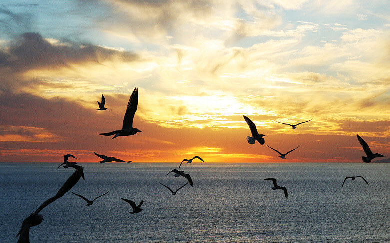 Sunset * Traveller
