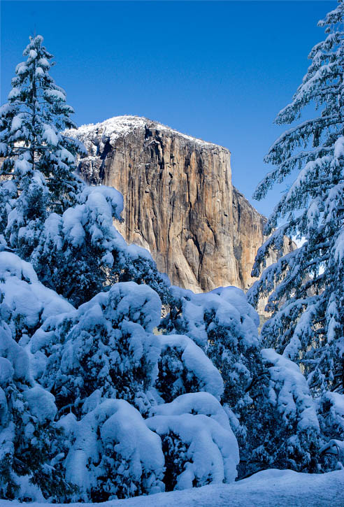 4th Place <b>El Capitan</b> by Michael Puff