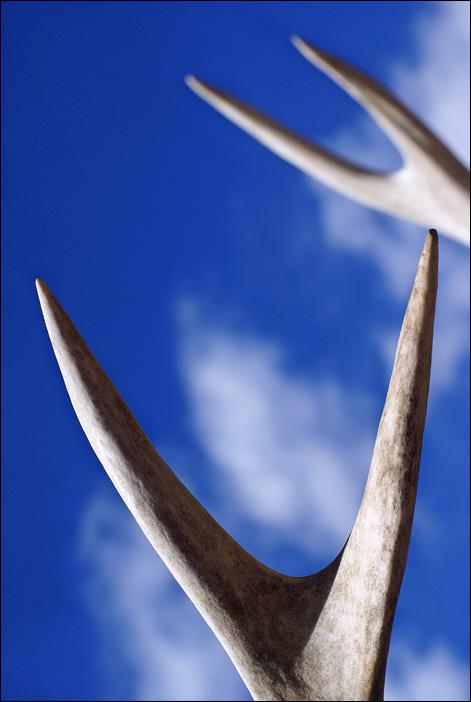 Forked