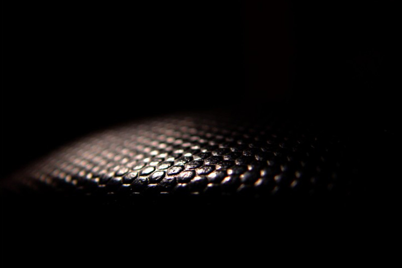 Texture