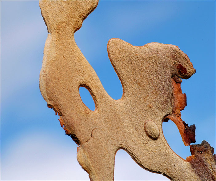 <b>8th Place</b><br>Fragment<br>By mlynn