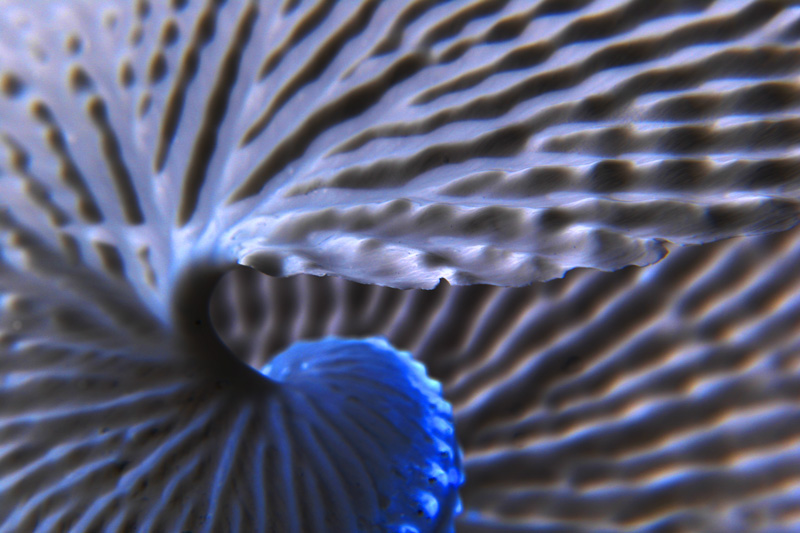 Cosmic Force