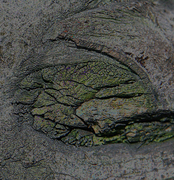 What Knot