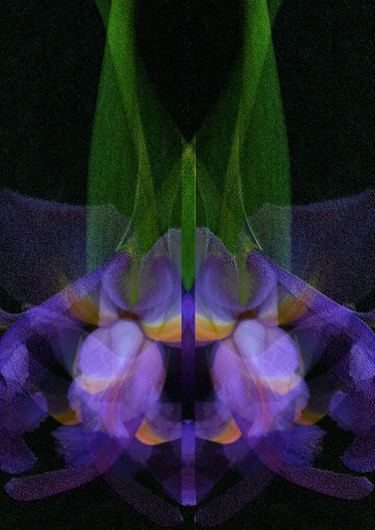 Abstract