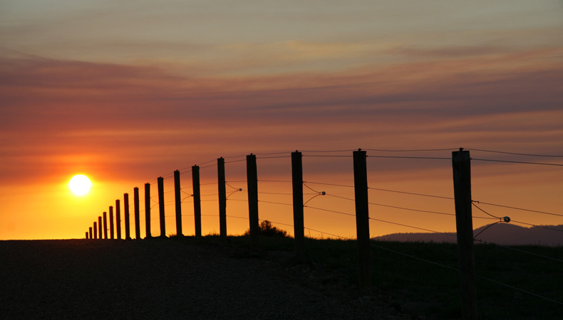 Vanishing Point Perspective