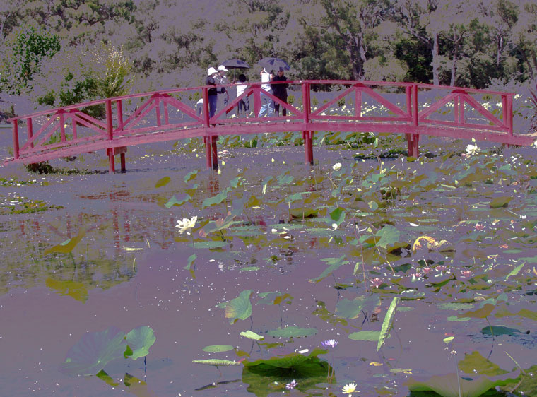 Meander With Monet