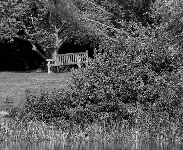 A Place to Ponder  *